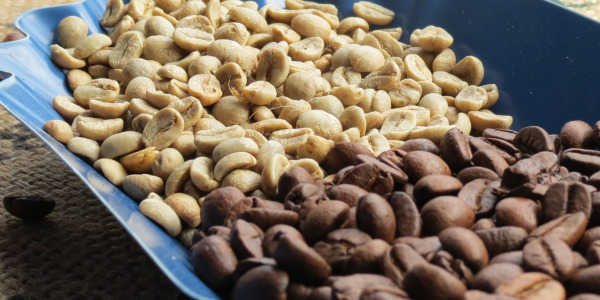 Приготвяне на зелено кафе с изпичане